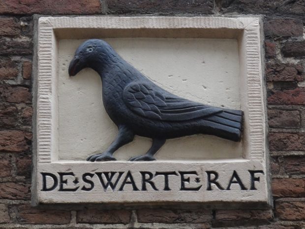 De swarte raf - foto Aart G. Broek 